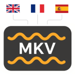 mkv files transcription