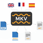 mkv export transcript